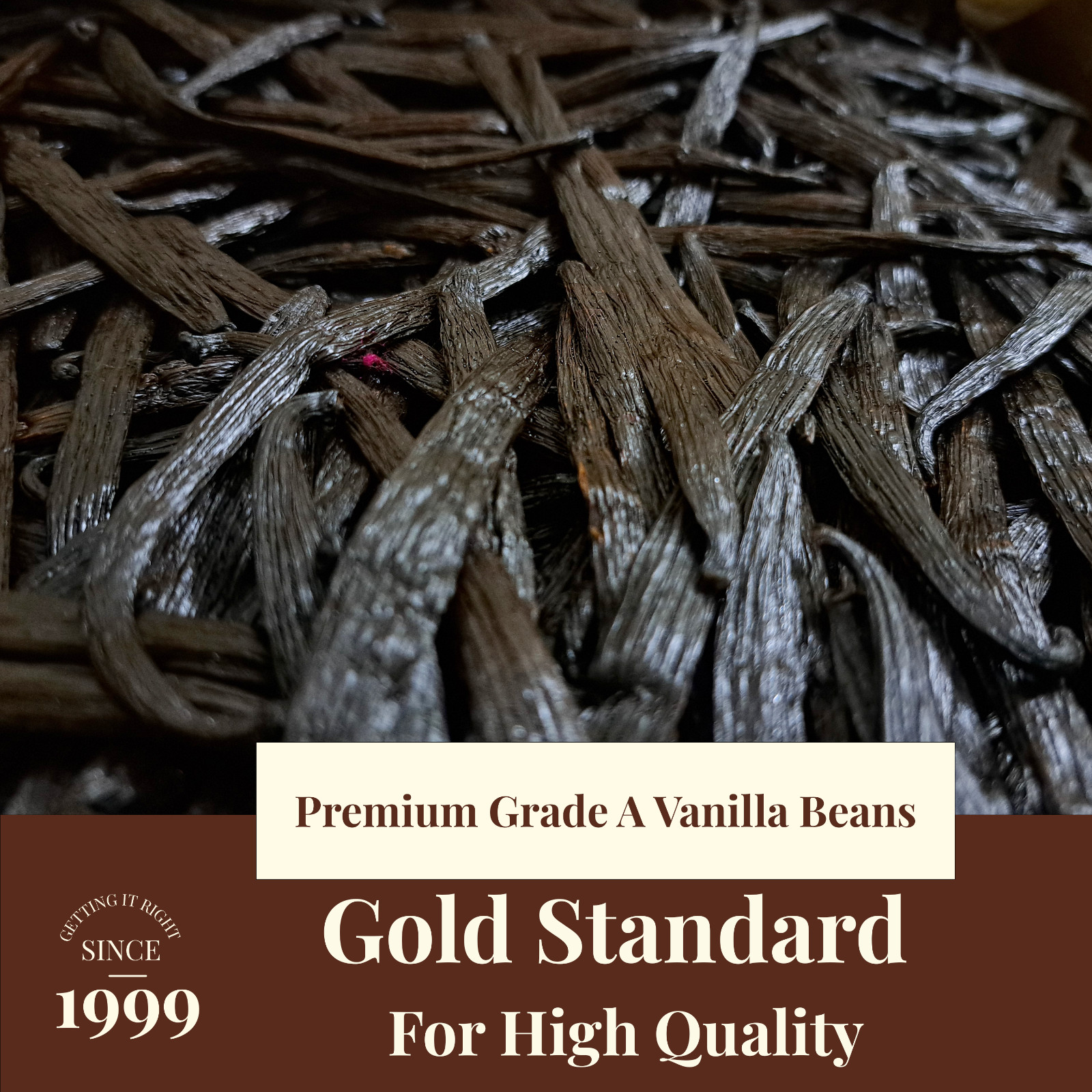 1Lb. Whole Vanilla Beans Grade A – Bulk Vanilla Bean For Making Vanilla Extract