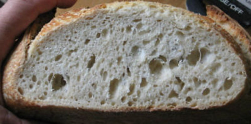 SAN FRANCISCO SOURDOUGH STARTER yeast mix package sally recipes @fresh/active