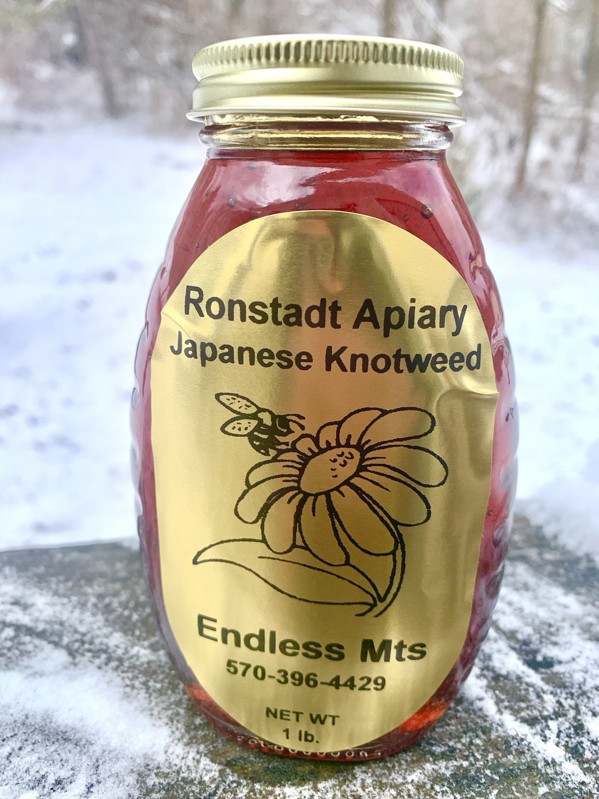 Pennsylvania Raw Japanese Knotweed Honey Resveratrol Rich 1 LB Glass Jar.