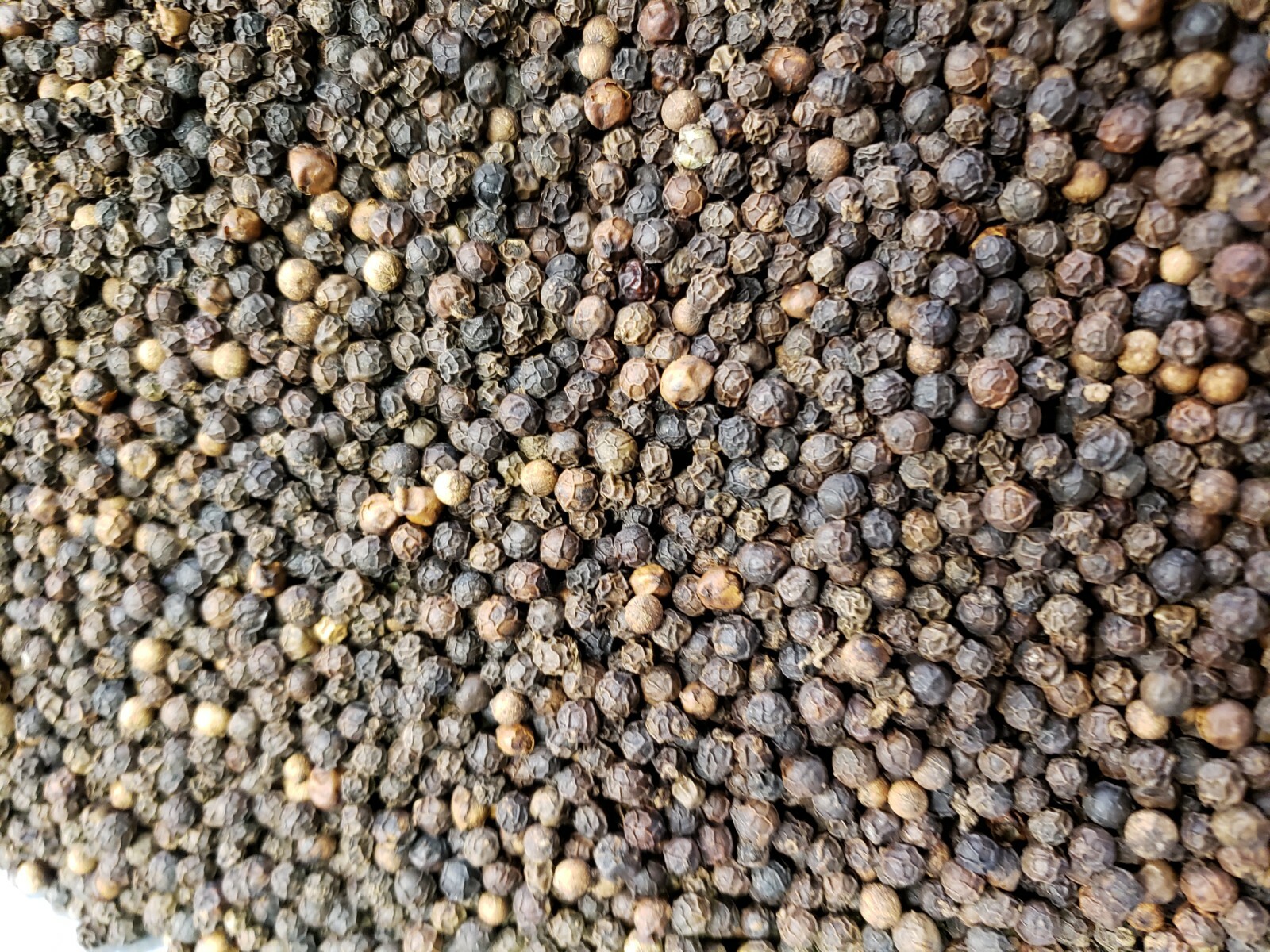 Whole Black Peppercorns, ASTA Grade, 5 Pound Box