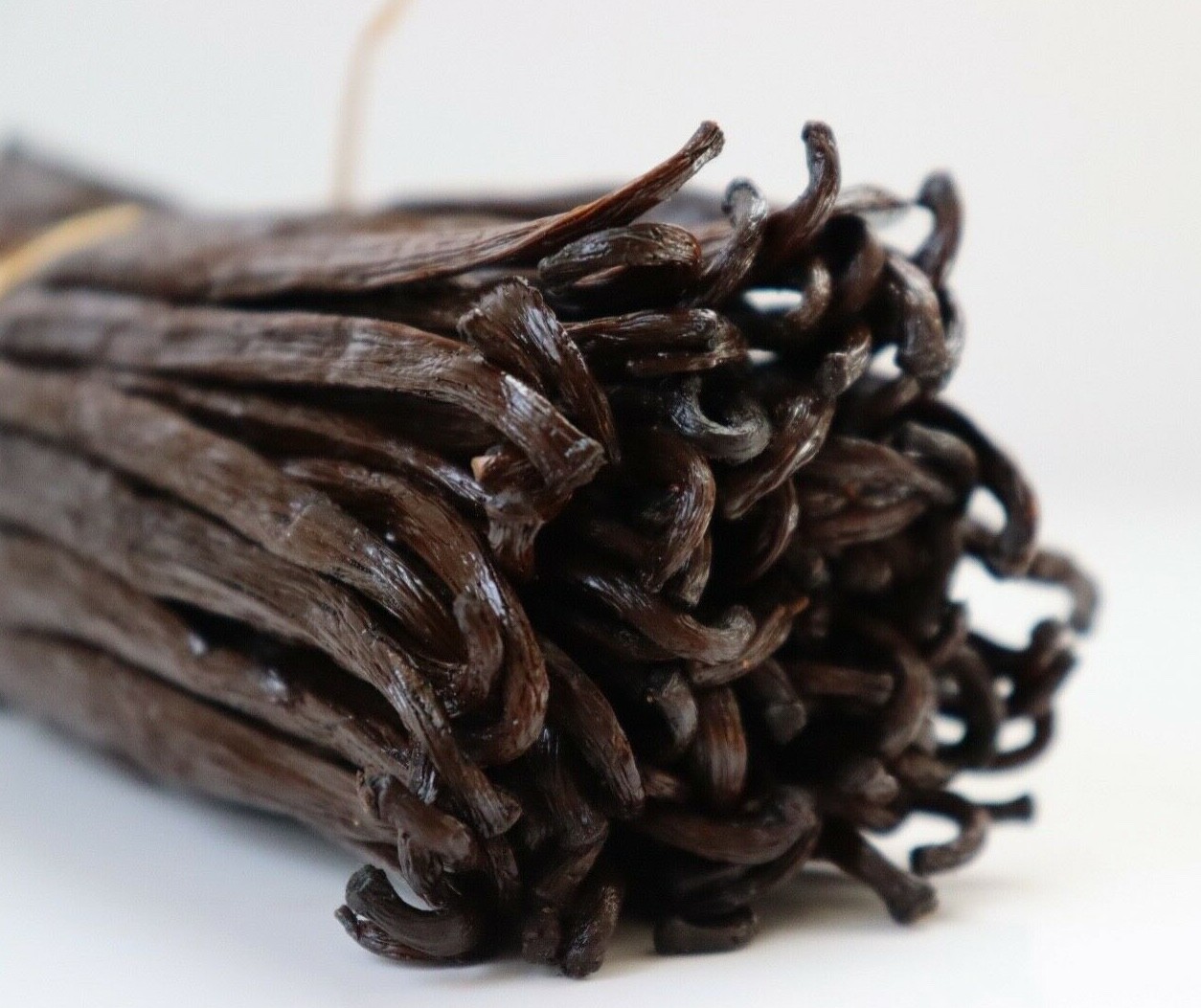 10 Fresh Madagascar Grade A Organic Bourbon Gourmet Vanilla Beans
