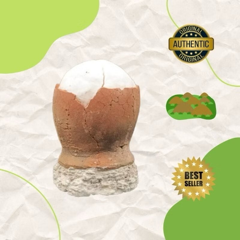 1 Unit Asin Tibuok Dino Egg Artisanal Coconut Sea Salt Bohol Philippines – DHL