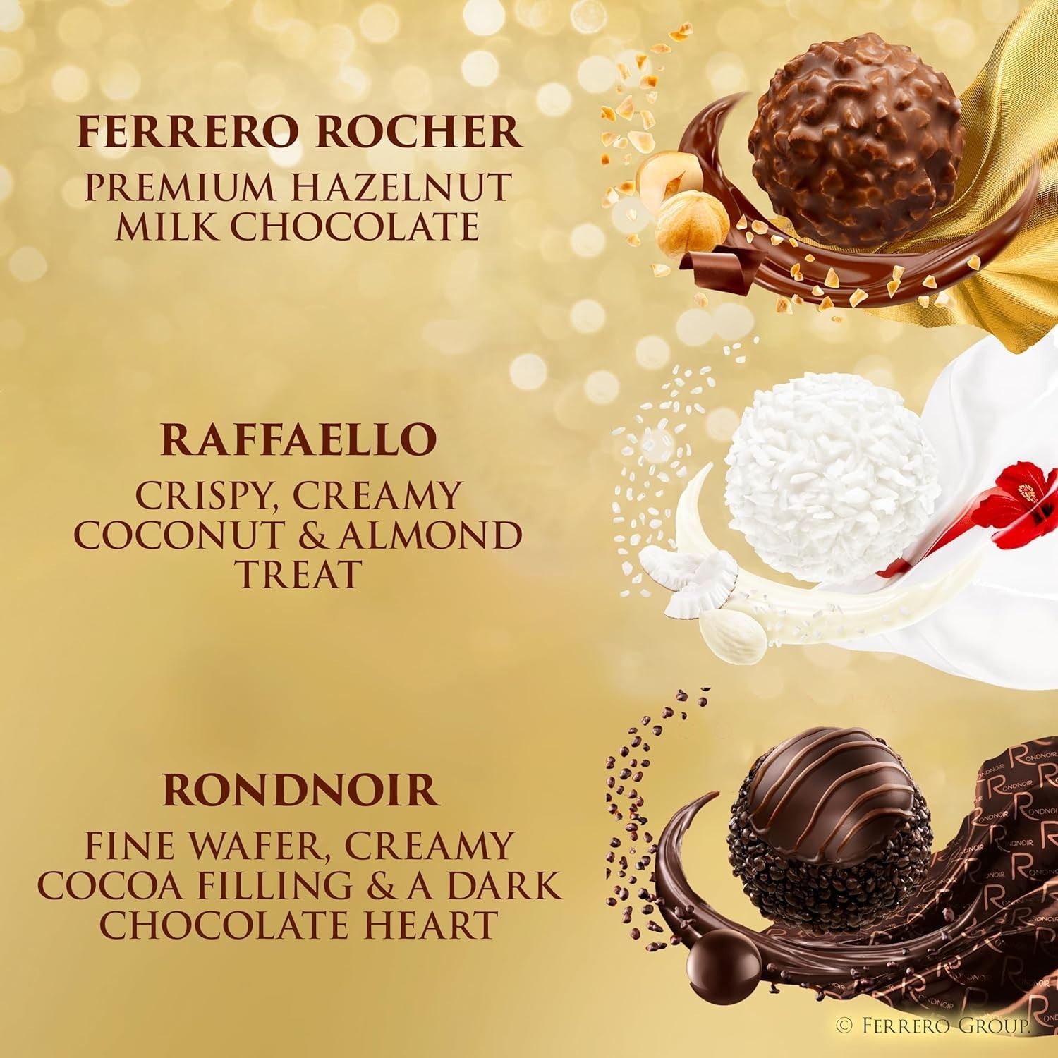 Elegant Assorted Chocolate Box: 24 Fine Hazelnut and Coconut Confections, 9.1 oz