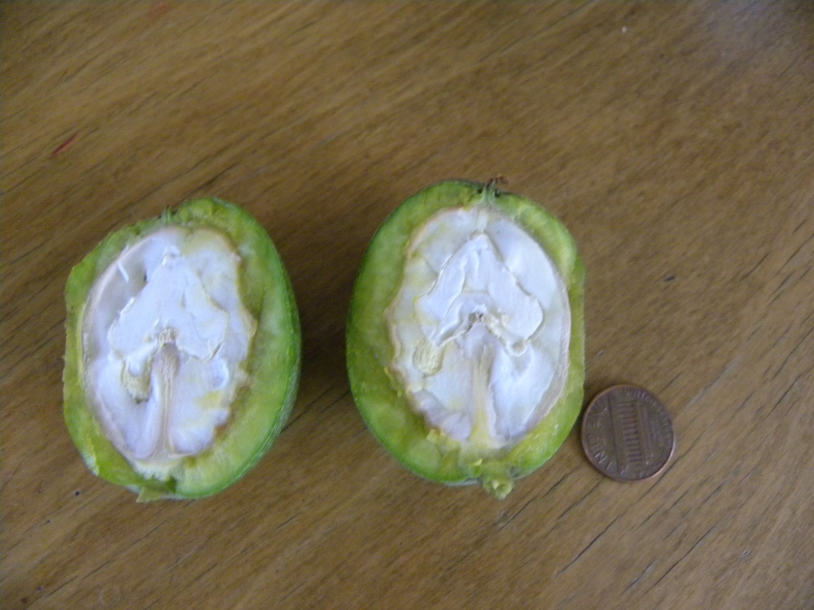 Lot of 5 Pounds Fresh Unripe Raw English Walnuts Green Hull Husk Cooking Baking