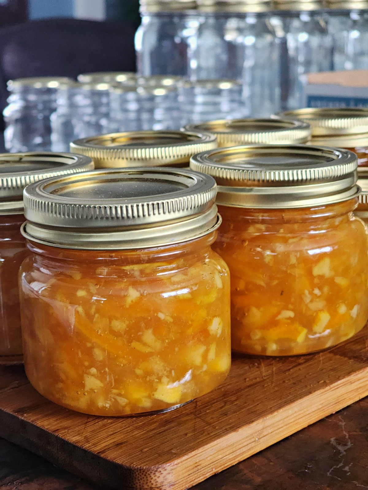 Orange Marmalade 2 PACK 16 OZ Jars