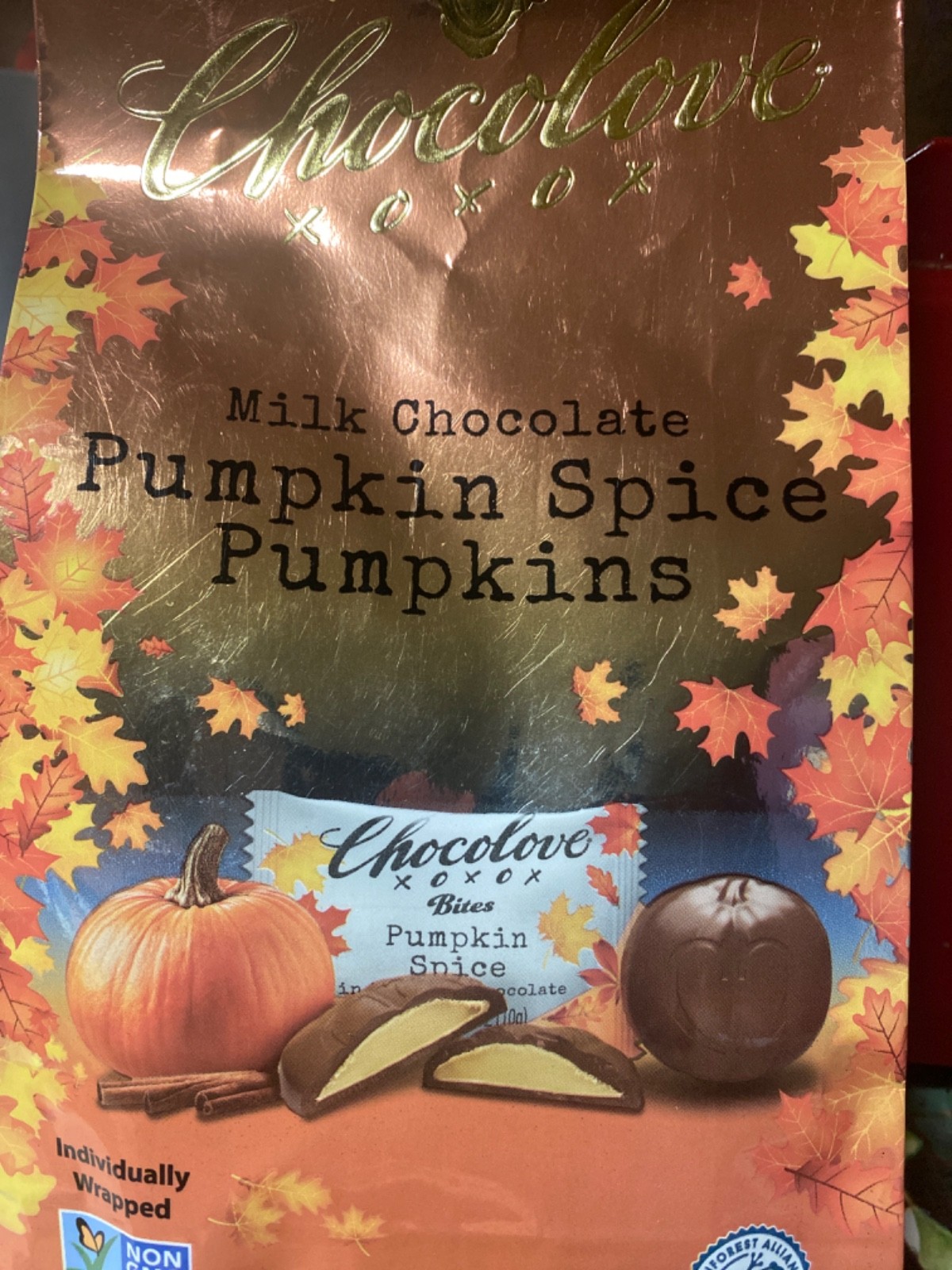 chocolove milk pumpkin spice Pumkins