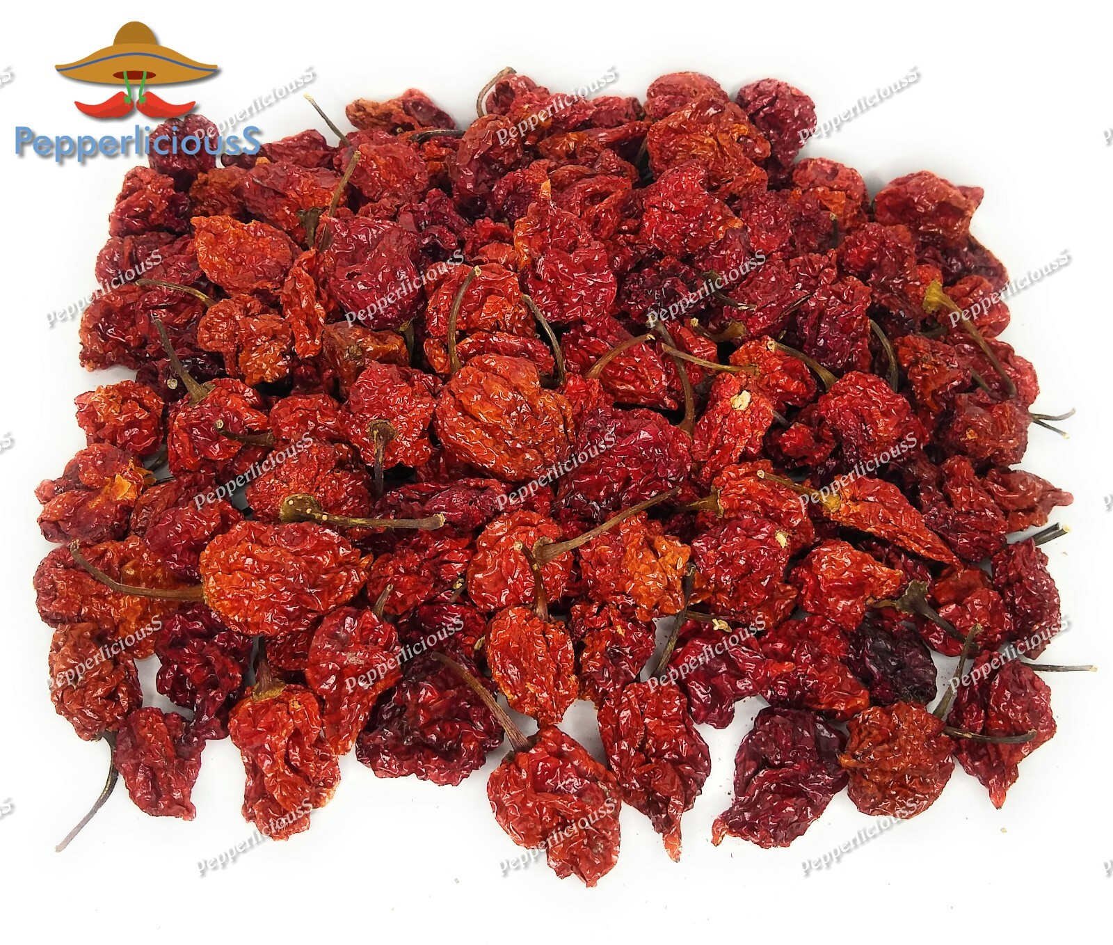 10 DRIED CAROLINA REAPER PEPPER Pods – WORLDS HOTTEST Pepper – Super Hot Quality