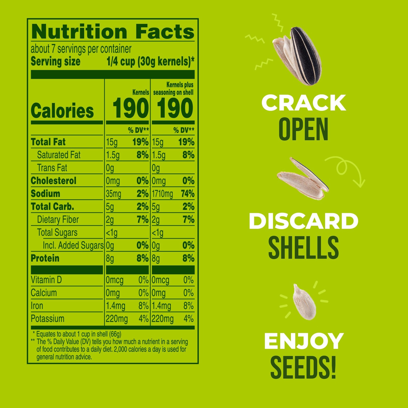 BIGS Sunflower Seeds, Vlasic Dill Pickle Flavor, Father’s 1 Pound (Pack of 1)
