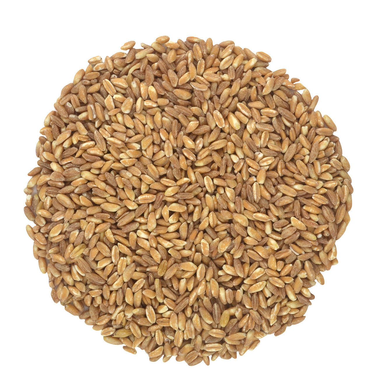 Organic Italian Pearled Farro – Raw, Non-GMO, Vegan, Bulk, Protein, Fiber Rich