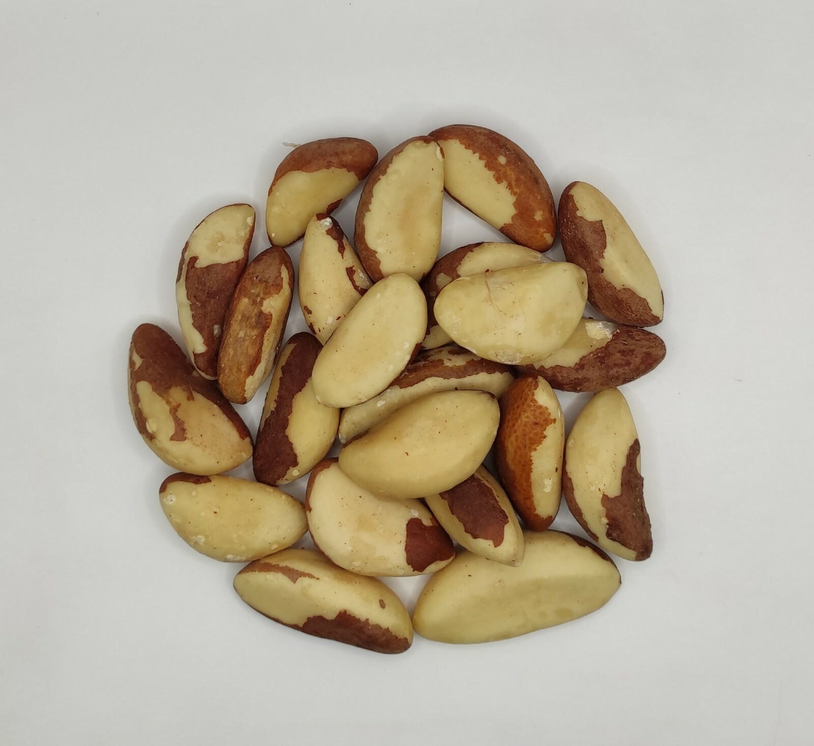 Dried Brazil Nuts 40g(1.4oz) – 1.95Kg(68.8oz) Bertholletia excelsa
