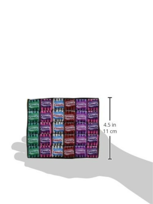 Canels Gum – 60 Count Box of Colorful Chewing Fun for All Ages