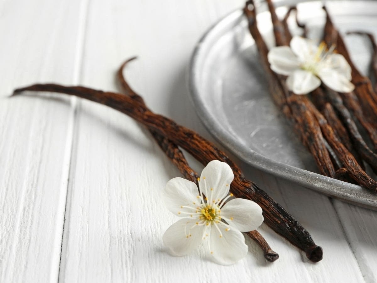 10 – Madagascar Vanilla Beans Grade A Moist & Plump – for Extract, Baking, Sugar