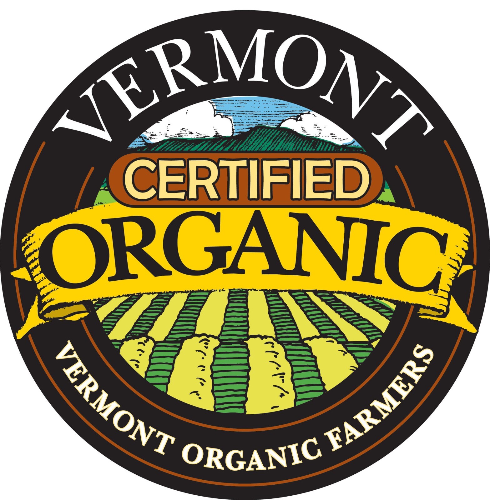 Real Maple Syrup – 1/2 Gallon 100% Pure Organic VT Maple Syrup – Dark Robust