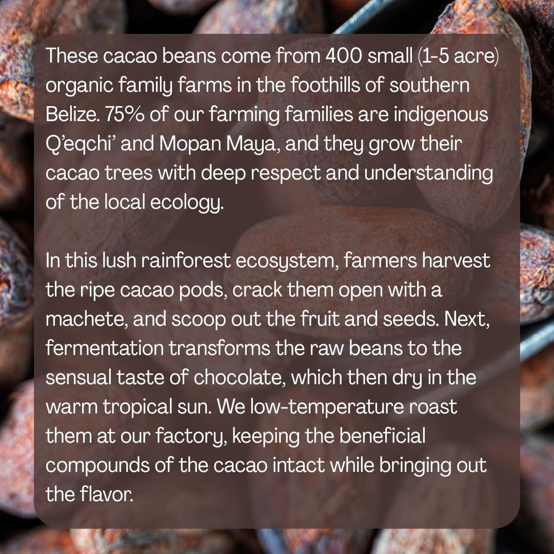 ORA Whole Cacao Beans, 10oz – Organic 10 ounces