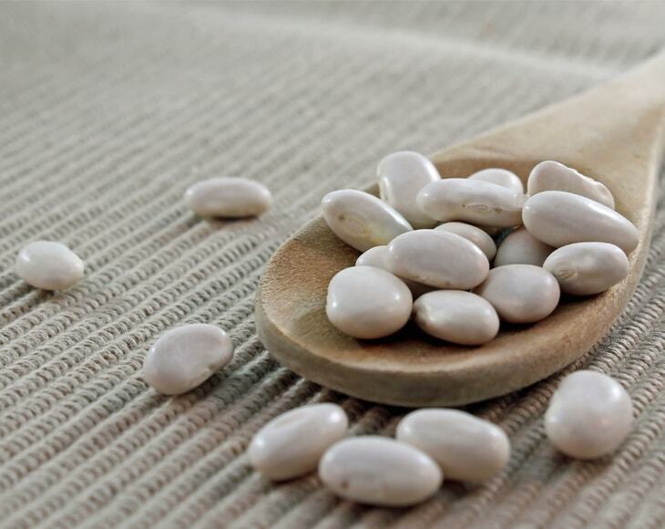 Organic Great Northern Beans – Dried, Non-GMO, Kosher, Raw, Sproutable, Bulk