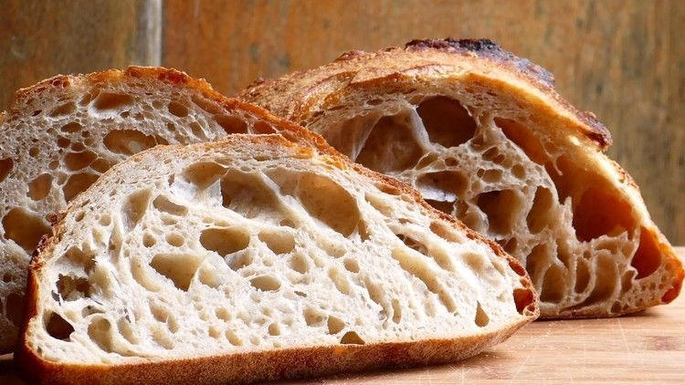 live ZOURDOUGH SOURDOUGH STARTER San Francisco BEAST+ RECIPES-10starters in 1 d