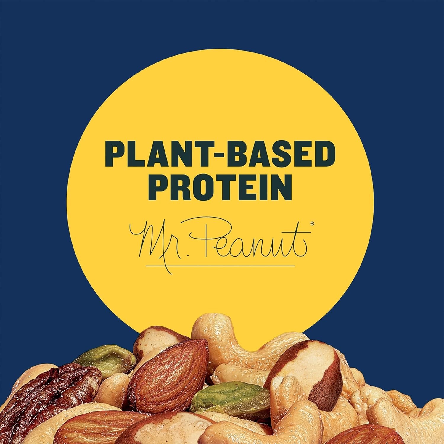 Pistachio Nuts Lovers Nut Mix with Pistachios no shell, Almonds & Cashews, Pa…