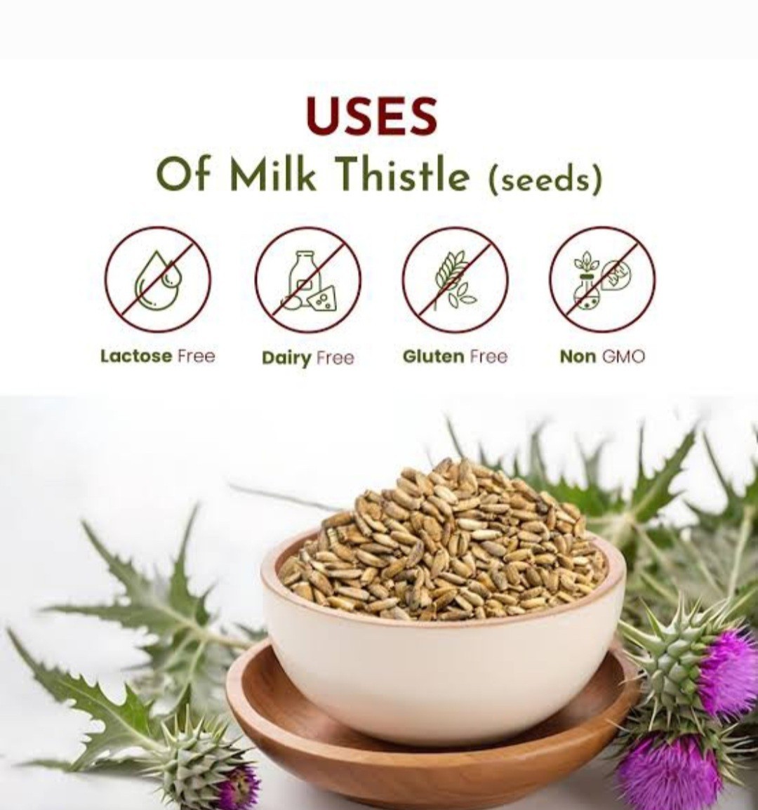 Milk Thistle Seed, Whole (Silybum marianum), Organic Milk Thistle Seeds,raw seed