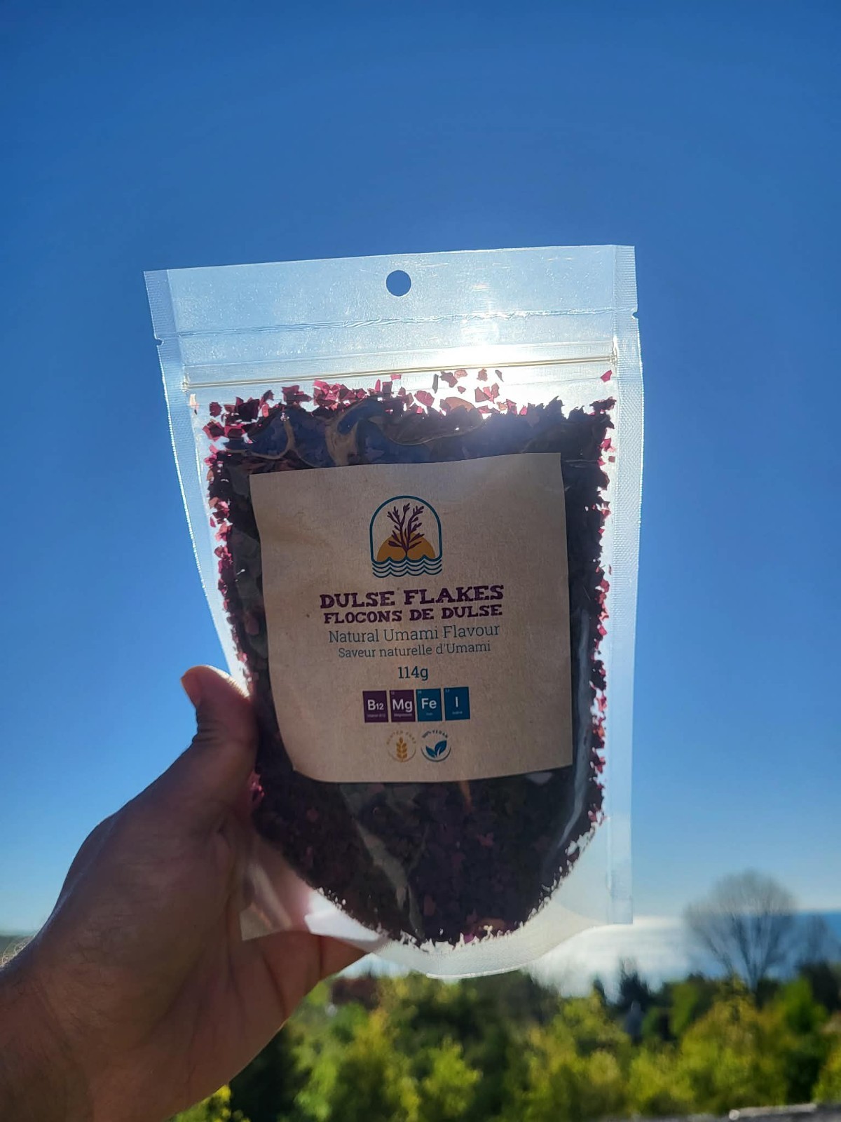 Dulse Fresh Whole Leaf, Flakes and Shaker Wild Dulse Sustainable B12 Magnesium