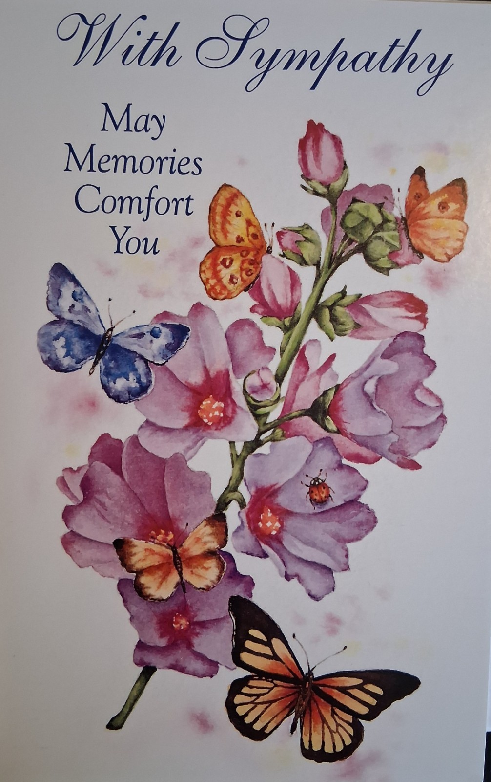 Sandy’s Southern Flav Pecan Pralines NO NUTZ & GREETING CARDS Collection 🩷