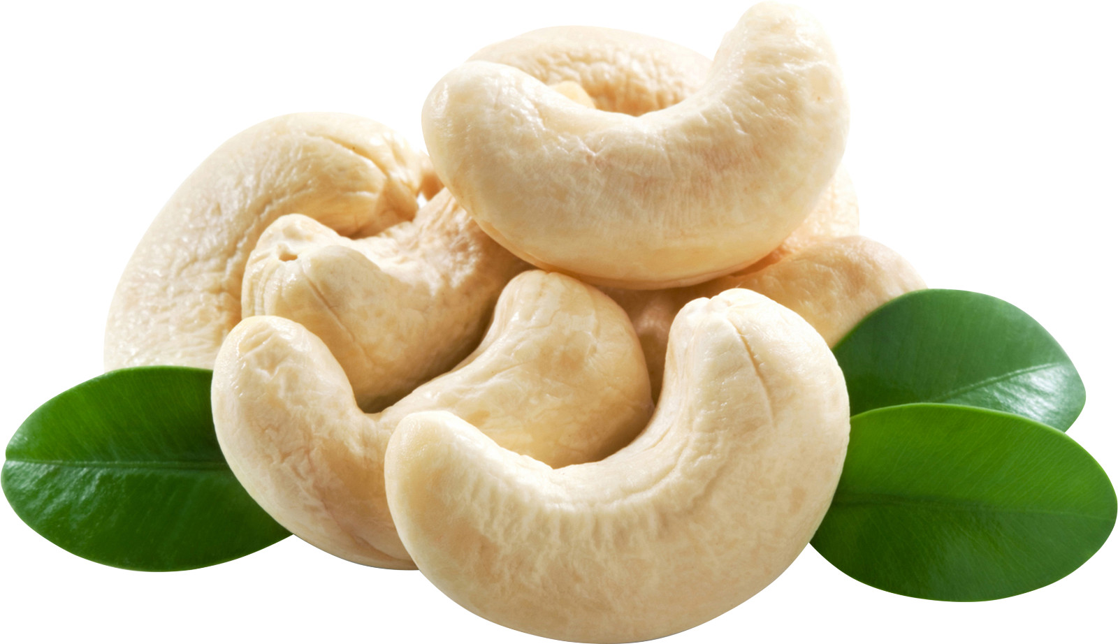 RAW CASHEWS CRUNCHY MILDLY SWEET BAG & FREE SHIPPING PREMIUM QUALITY 18oz(500g)
