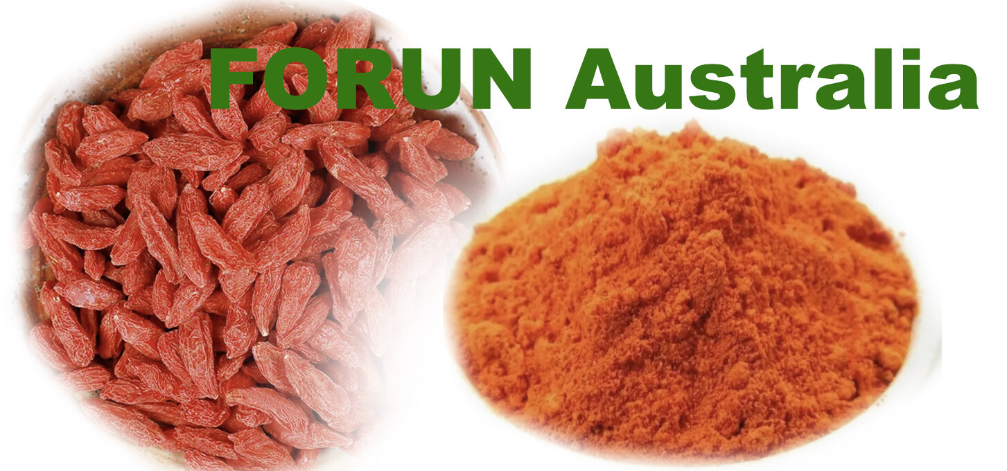 FORUN Organic Pure Red GOJI Berries (Wolfberries) Powder – Freeze Dried