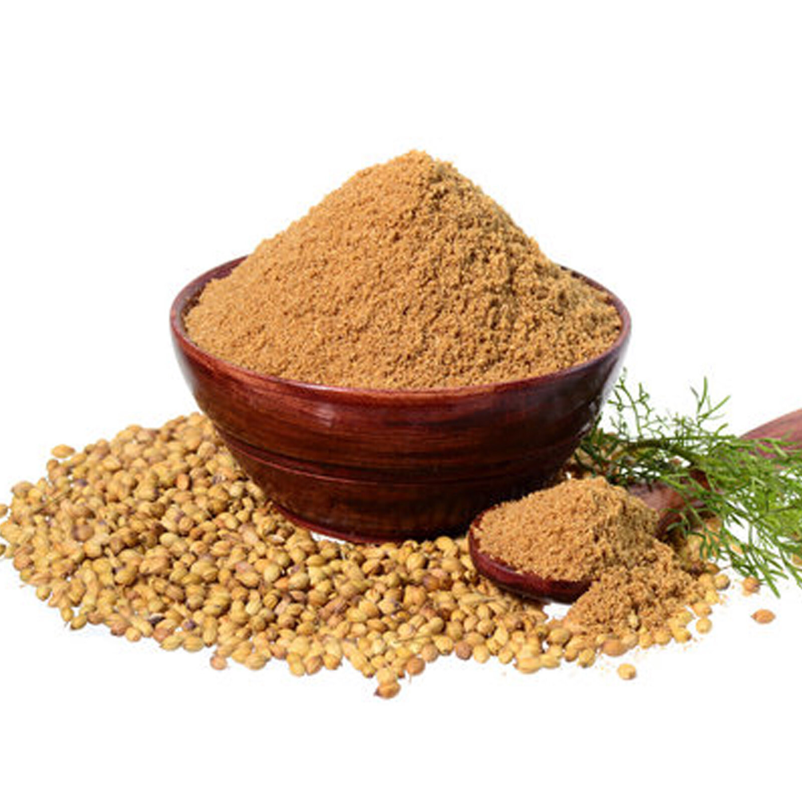 Coriander Powder Premium Quality Organic Spices Whole Ground Cilantro