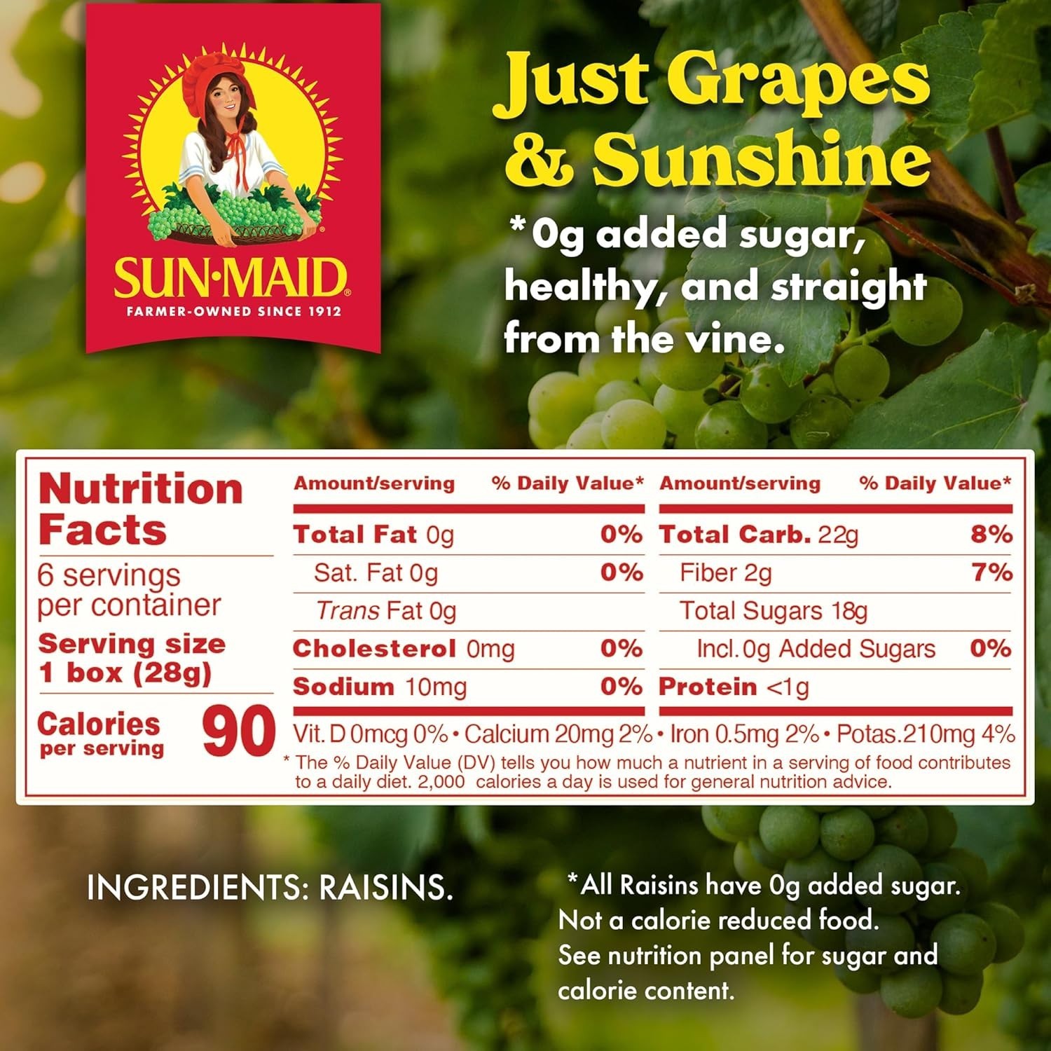 Nutritious California Dried Raisins – 6 Snack-Size Boxes for On-the-Go Families