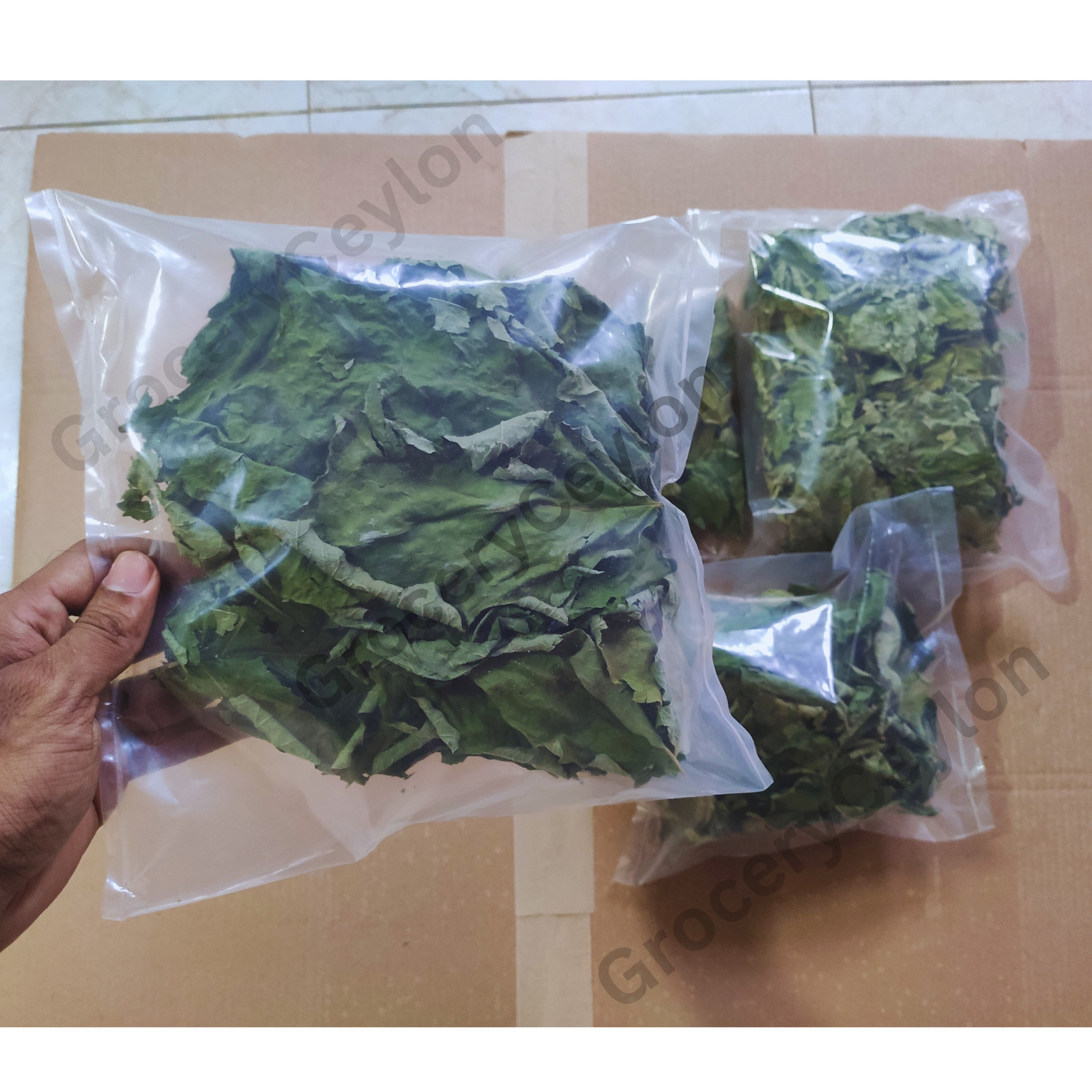 Dried Turkey Berry Leaves Dried Solanum Torvum Natural Pure Organic Leaf