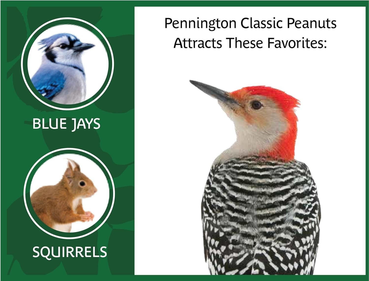 Classic 5-Pound Shelled Peanuts: High Energy Bird Feed for Wildlife Enthusiasts