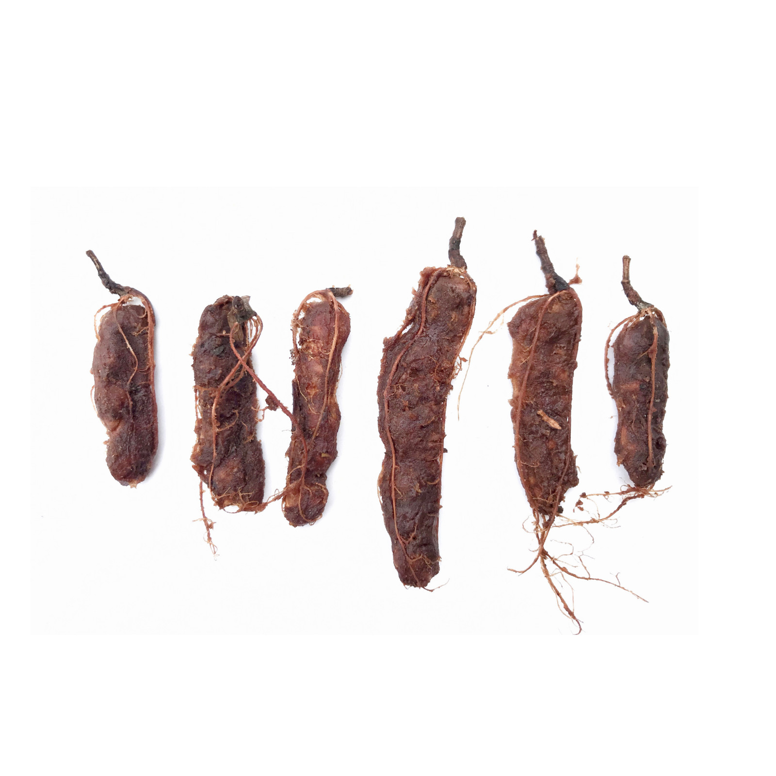 Organic Unprocessed Tamarind Pods 2 Lb – Tamarindo – Tamarindo en cascara