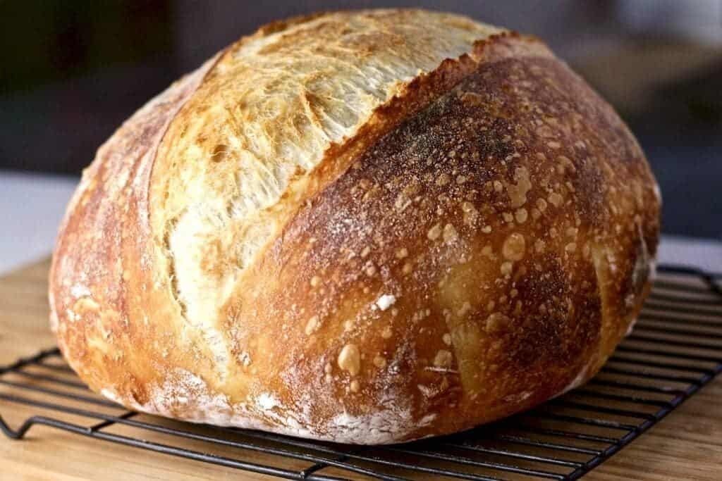 SOURDOUGH STARTER Dehydrated Sour – Alaskan’s ALYESKA – 15 Gram Bag