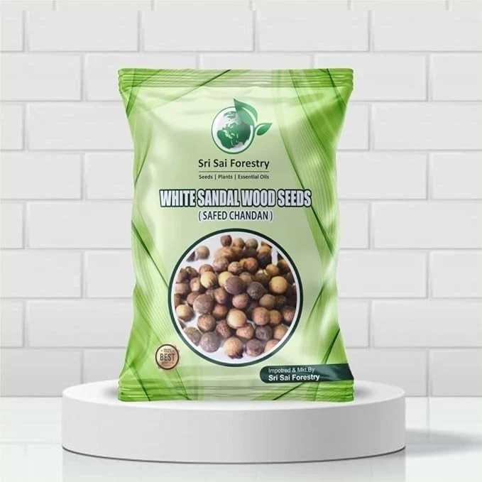 White Sandalwood Tree Seeds, Safed Chandan SriGanda Srigandam Plant Seed- 100 gm