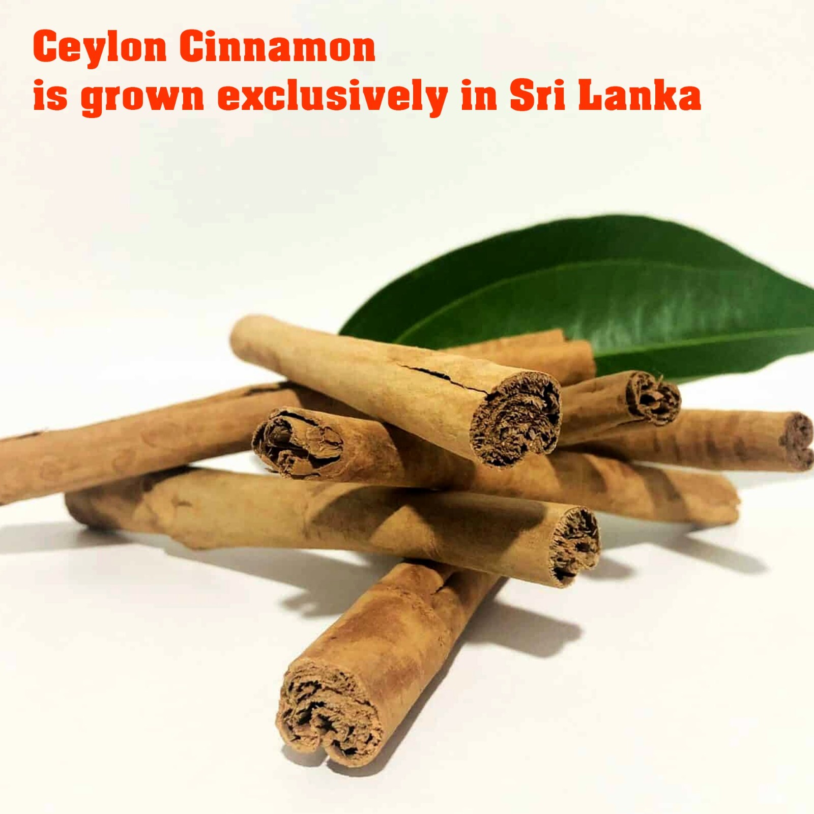 Premium Ceylon Cinnamon Powder, 16 Oz (1 lb)