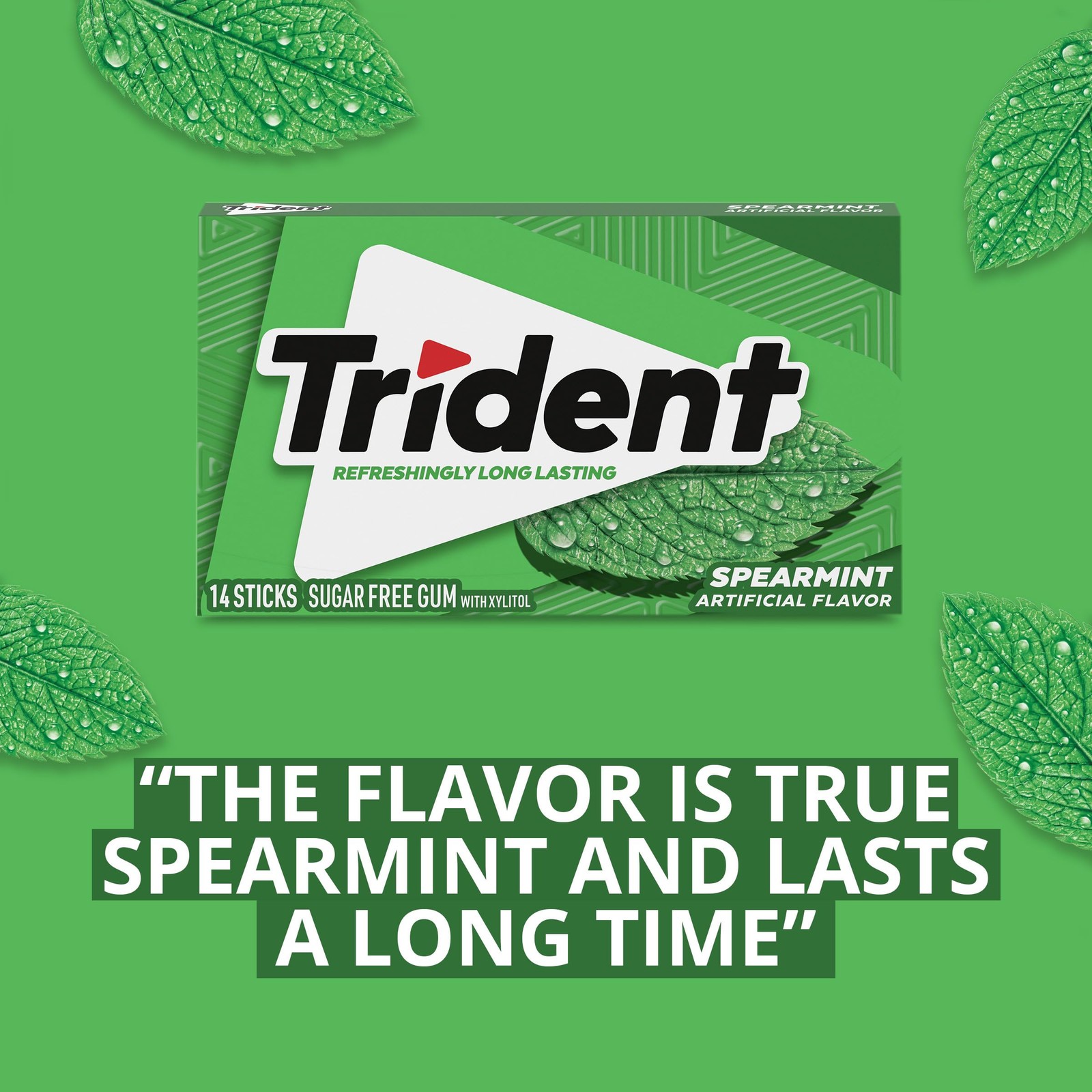 Trident Spearmint Sugar Free Gum, 12 Packs of 14 Pieces (168 Total Pieces)