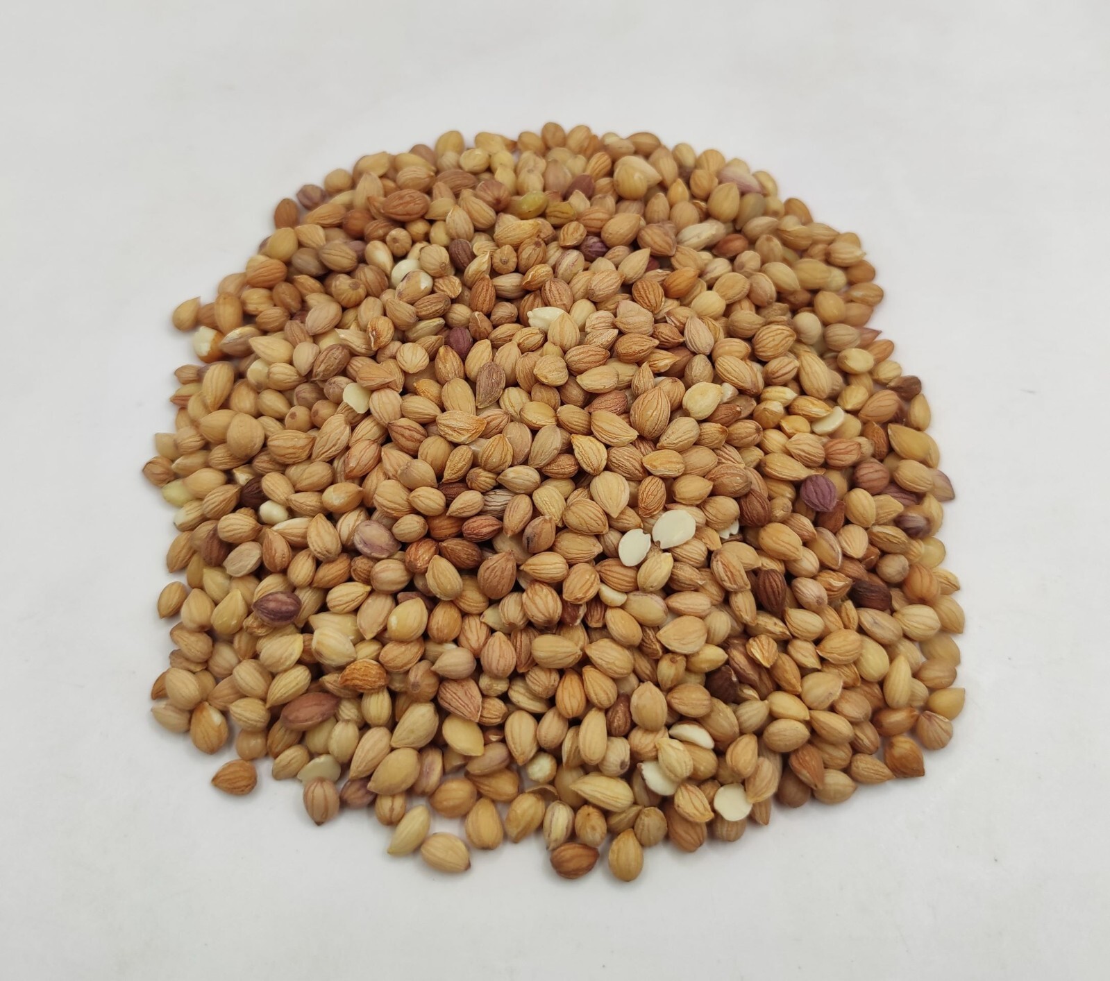 Dried Mahaleb Cherry Seeds Mahlepi 25g(0.9 oz) – 1.95Kg(68.8 oz) Prunus Mahaleb