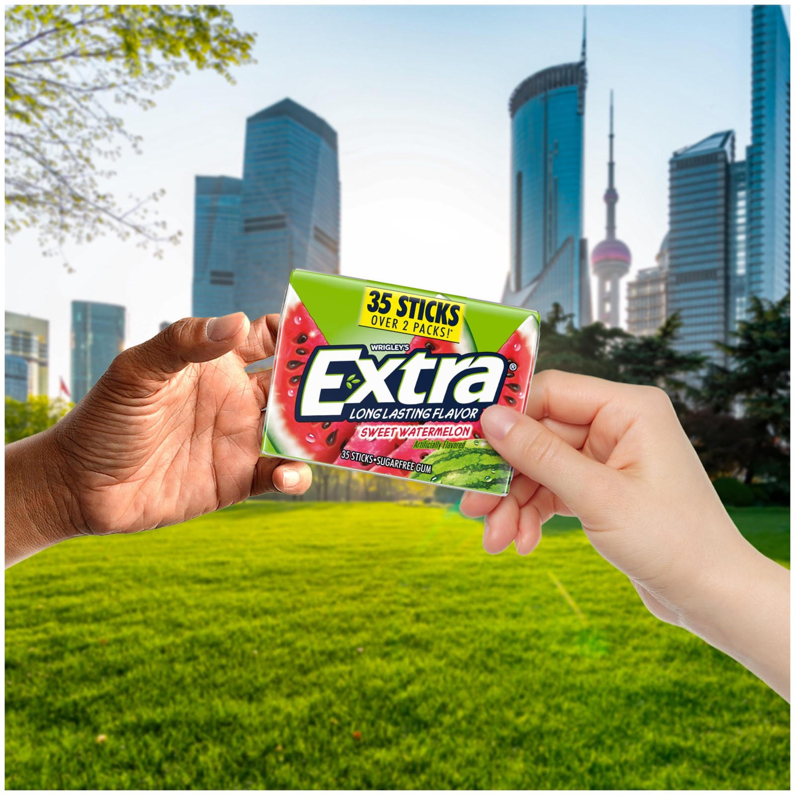Sugar Free Watermelon Chewing Gum Pack of 6, 35 Sticks – Mega Bulk Supply