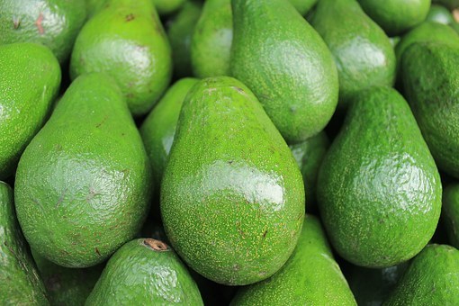 Avocado fruit powder 8oz 1/2lb PAJE – vitamins B5, B6, C, E, K, folate, potassiu