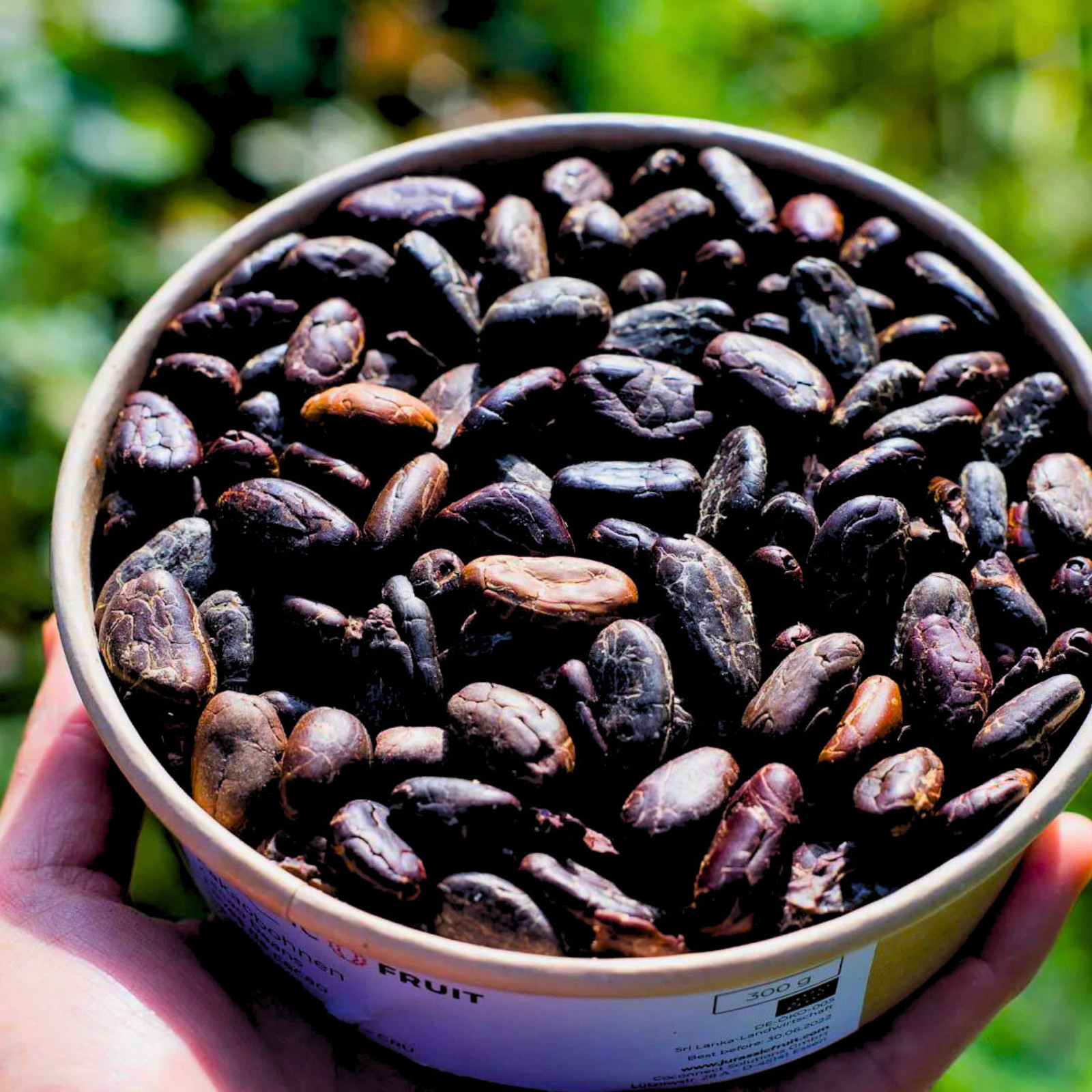 Organic Black Cocoa Beans | Raw Whole Cacao | Superfood for Chocolate & Tea