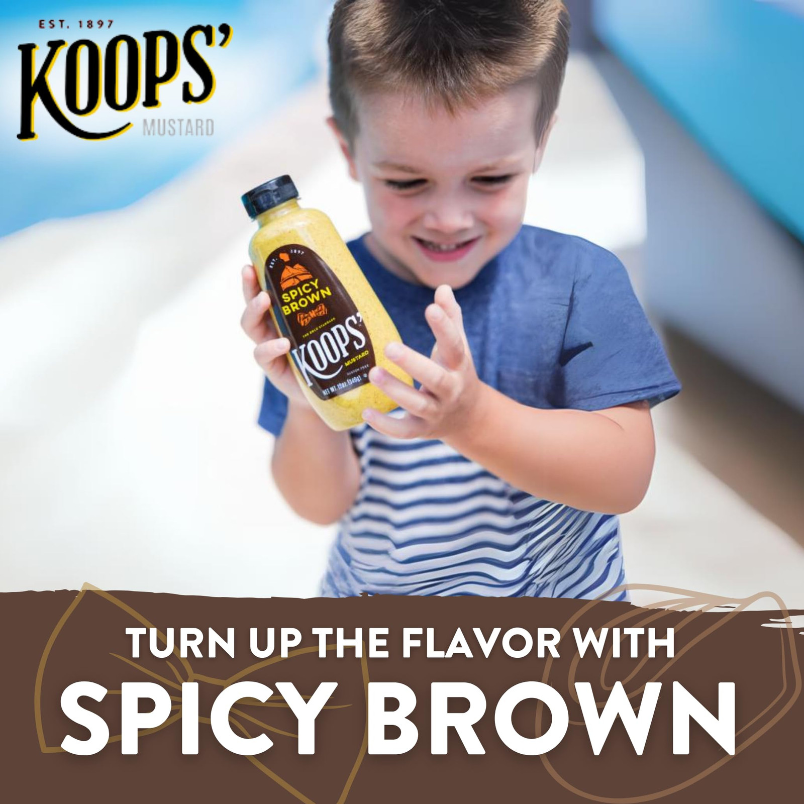 Koops Spicy Brown Mustard 12 Ounce Bold Flavor Condiment Squeeze Bottle