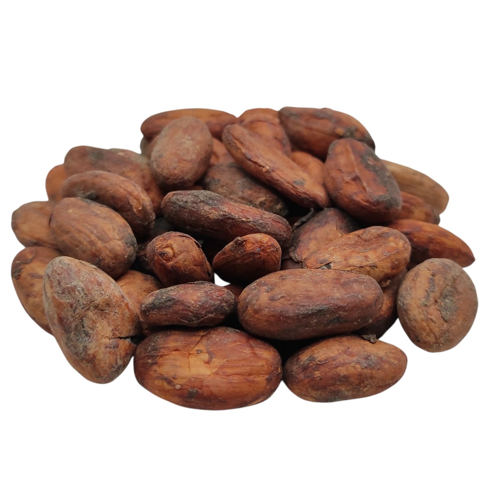 Premium Raw Organic Cacao Beans 25g – 1.95Kg theobroma Cacao