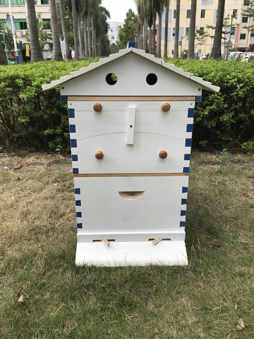 Fir Wooden Beekeeping Beehive House +7x Upgraded Auto Honey Bee comb Hive Frame