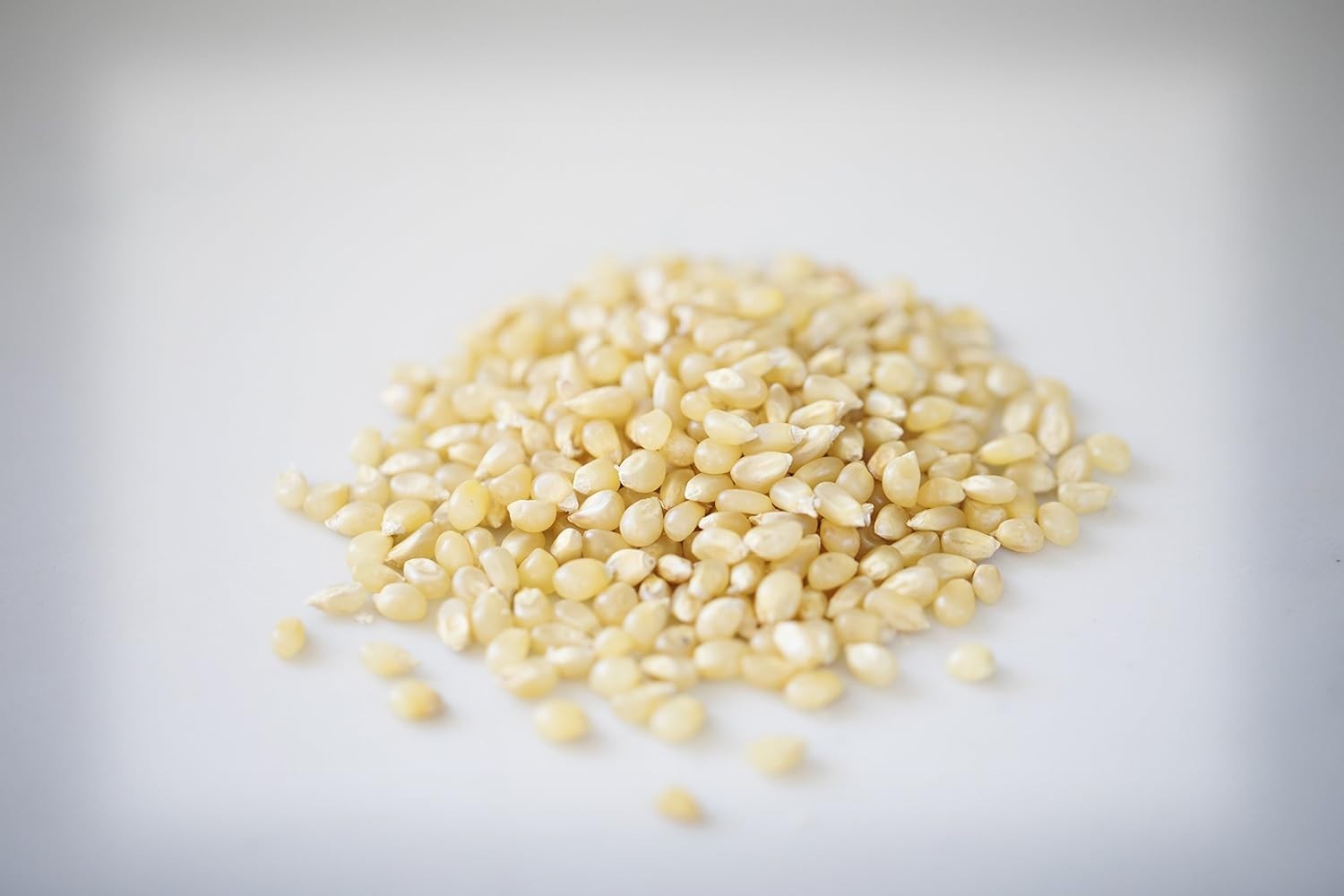 1 lb Bag | Baby White Popcorn Kernels | Old Fashioned, Non-GMO and Gluten Fre…