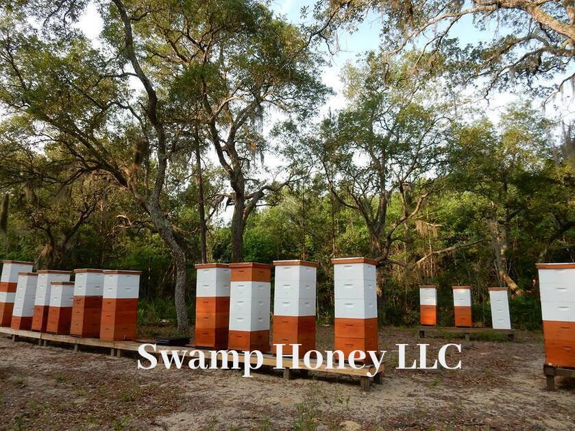 2026 Raw Georgia Tupelo Honey USPS Shipping Included. From the beekeeper.