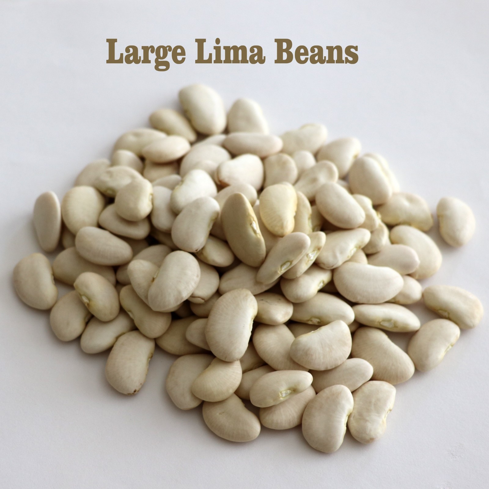 Grown Organic large lima beans bulk 4 OZ- 10 lb free shipping