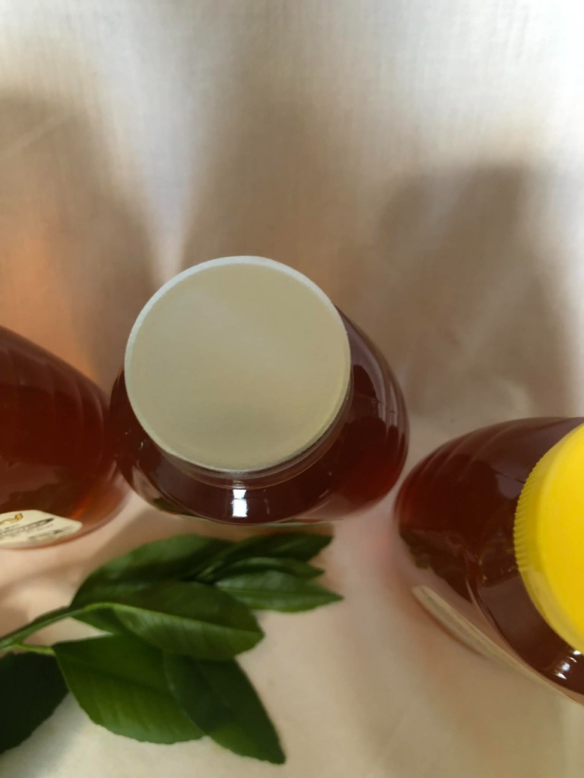 1 lb Orange Blossom Honey Pure Raw Natural Delicious! Rich Flavor FRESH n sweet