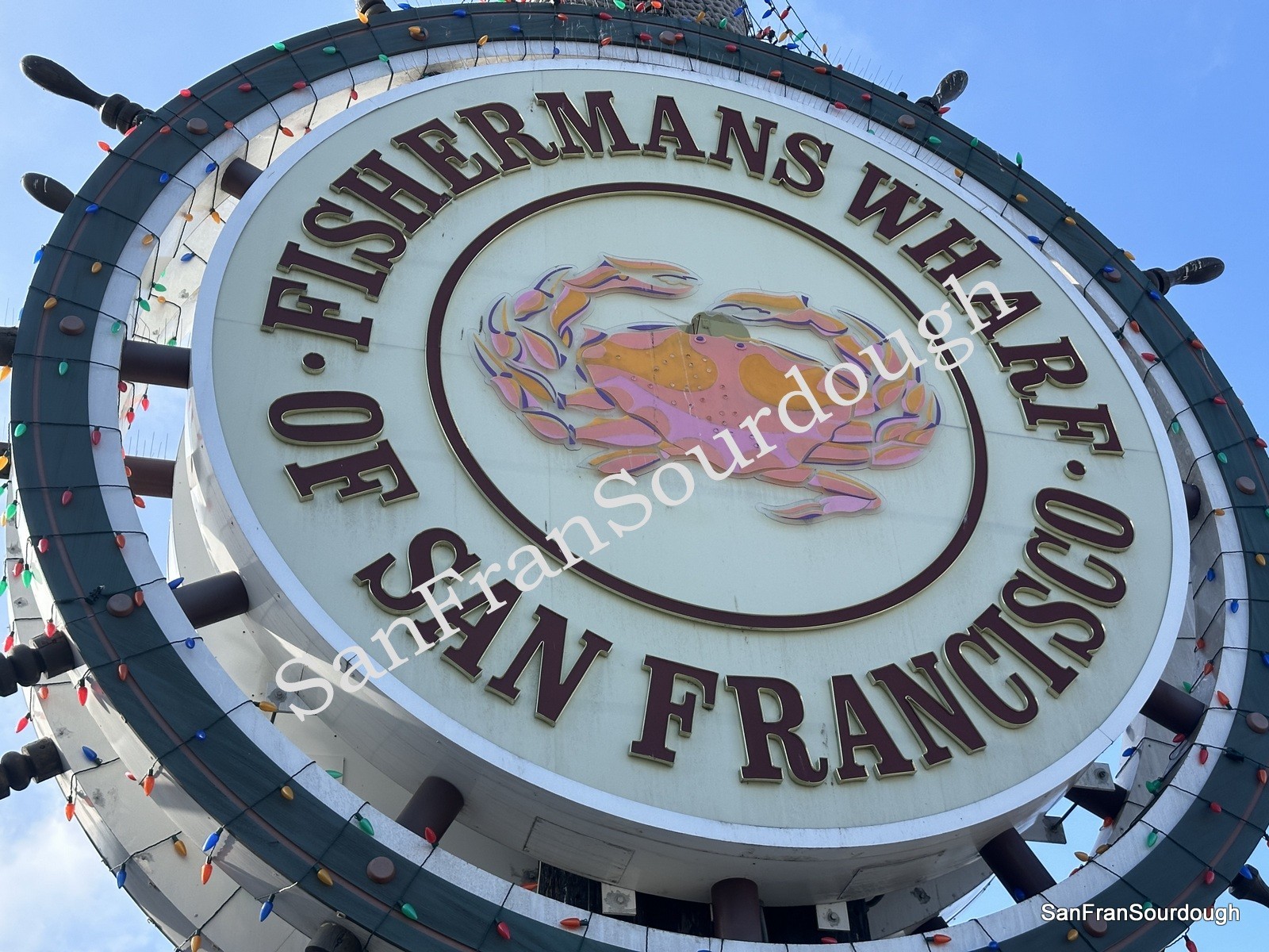 Sourdough Starter San Francisco California Yeast Bacteria baking bread pastry
