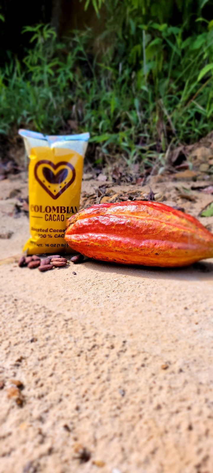 Roasted Cacao Beans | 100% Pure Colombian Cacao | Natural Chocolate Superfood |