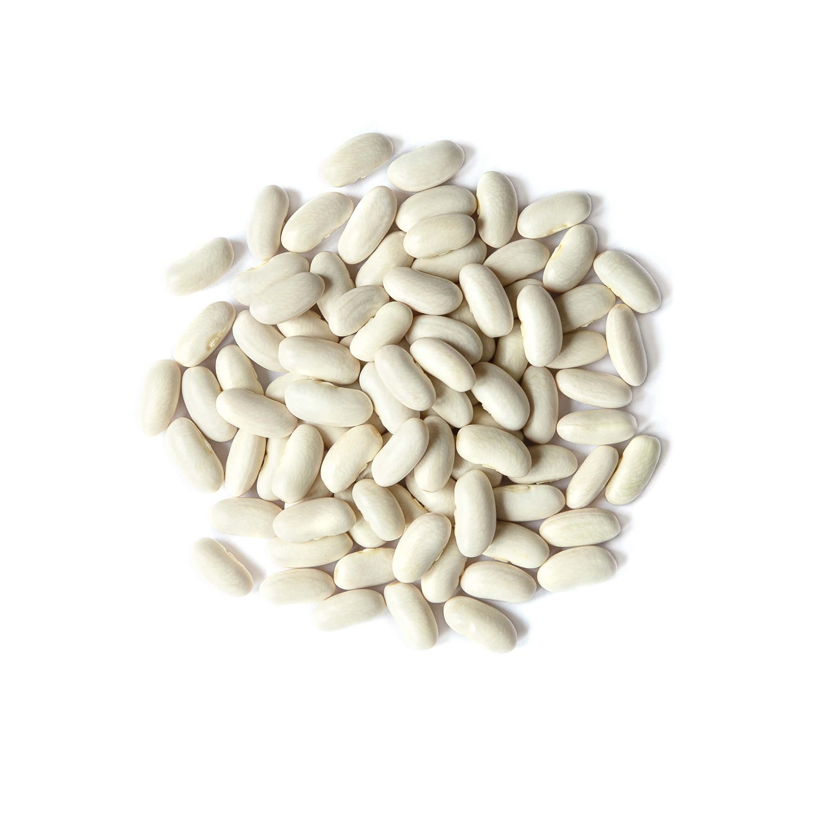 Organic Cannellini Beans – Non-GMO,Raw,Dry,Kosher,Sirtfood,Bulk- by Food To Live