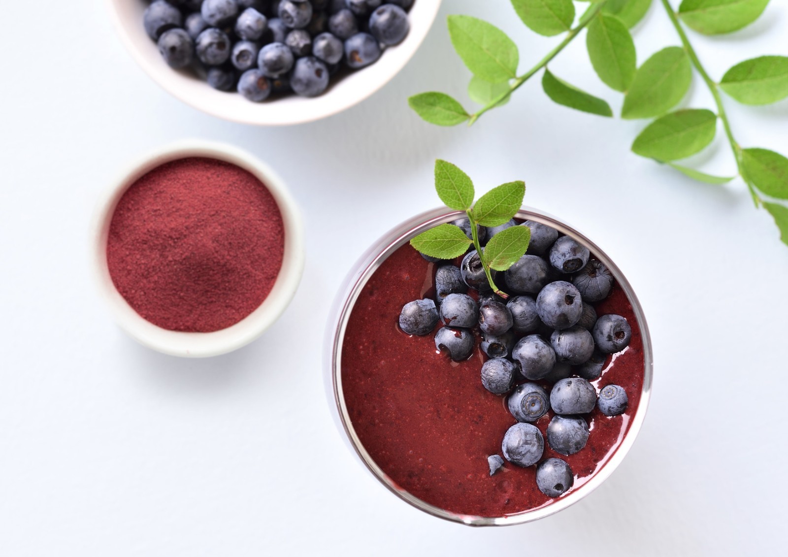 Organic Blueberry Powder – Non-GMO, Unsulfured, Raw, Vegan – by Food to Live